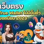 slot true wallet เว็บตรง